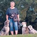 Ersteller:in Rosi Profilbild