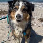 Ersteller:in Jul Profilbild