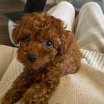 Ersteller:in Susanne Profilbild