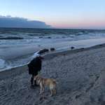 Ersteller:in Tina Profilbild