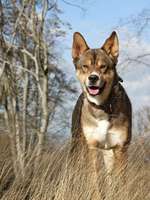 Ersteller:in Mara Profilbild