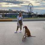 Ersteller:in Ronja Profilbild