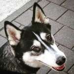 Ersteller:in Sandra Profilbild