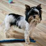 Ersteller:in Yvonne Profilbild