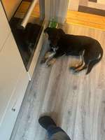 Alles ist so spannend!-Beitrag-Bild