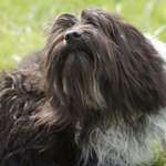 Ersteller:in Tanja Profilbild