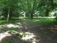 Hundeauslaufgebiet-Koppel - Forstfläche-Bild