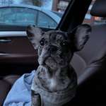 Ersteller:in Alwina Profilbild