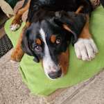 Ersteller:in Claudia Profilbild