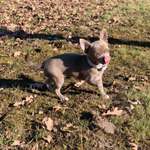 Ersteller:in Kristina Profilbild