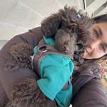 Ersteller:in Ksenia Profilbild