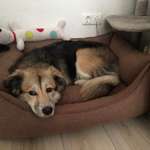 Ersteller:in Jenny Profilbild