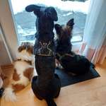 Ersteller:in Tina Profilbild