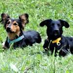 Ersteller:in Tina Profilbild