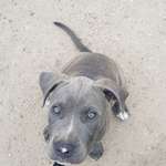 Ersteller:in Chicana Profilbild