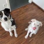 Ersteller:in Kim Profilbild