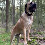 Ersteller:in Max Profilbild