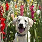 Ersteller:in Jeanette Profilbild