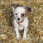 Ersteller:in Elisa Profilbild