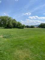 Hundeauslaufgebiet-Am Hakel in Beverungen-Bild