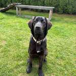 Ersteller:in Pia Profilbild