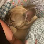 Ersteller:in Esther Caroline Profilbild