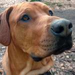 Ersteller:in J Profilbild