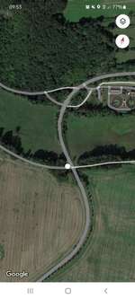 Hundeauslaufgebiet-Wald-Bild