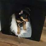 Ersteller:in Janet Profilbild