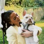 Ersteller:in Sara Profilbild