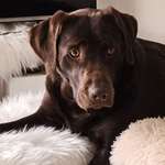 Ersteller:in Petra Profilbild