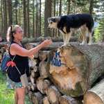 Ersteller:in Brigitte Profilbild