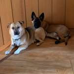 Ersteller:in Alina Profilbild