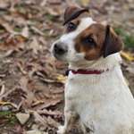 Ersteller:in Martin Profilbild