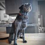 Ersteller:in Ines Profilbild