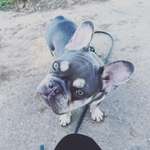 Ersteller:in Vanessa Profilbild