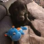 Ersteller:in Sandra Profilbild