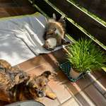 Ersteller:in Stephanie Profilbild