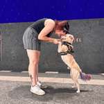 Ersteller:in Fay Profilbild