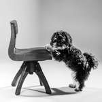 Fotowettbewerb-Beitrag-Bild