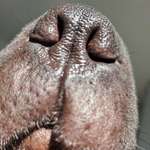 Ersteller:in Sabine Profilbild