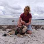 Ersteller:in Angela Profilbild