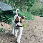 Ersteller:in Johanna Profilbild