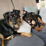 Ersteller:in Melanie Profilbild