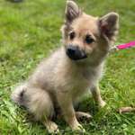 Ersteller:in Claudia Profilbild