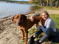 Suchmeldung-Leo-Bild