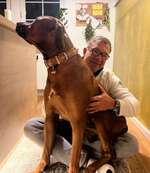 Suchmeldung-Leo-Bild