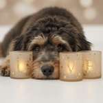 Ersteller:in Ella Profilbild