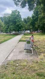 Hundeauslaufgebiet-Hundeauslaufgebiet Gürtelstraße-Bild