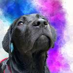 Ersteller:in Melli Profilbild